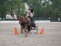 Carole Partridge & Simon in competition